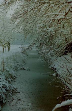 's Graveland (2004)